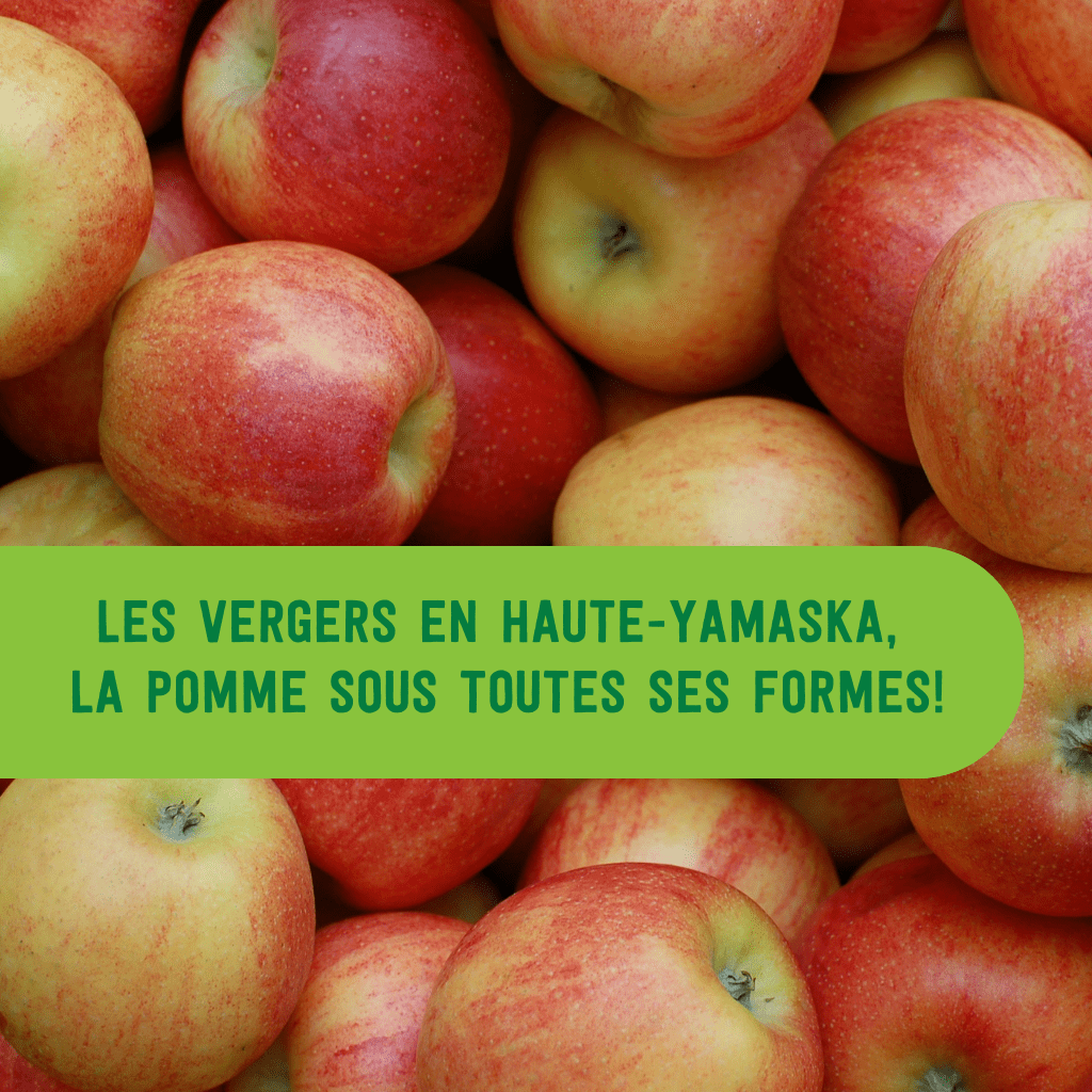 Les vergers en Haute-Yamaska, la pomme sous toutes ses formes !