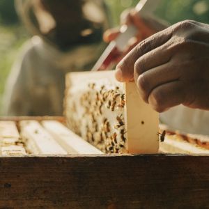 Road Trip Gourmand Signé Chef Oli dans les Cantons-de-l'Est