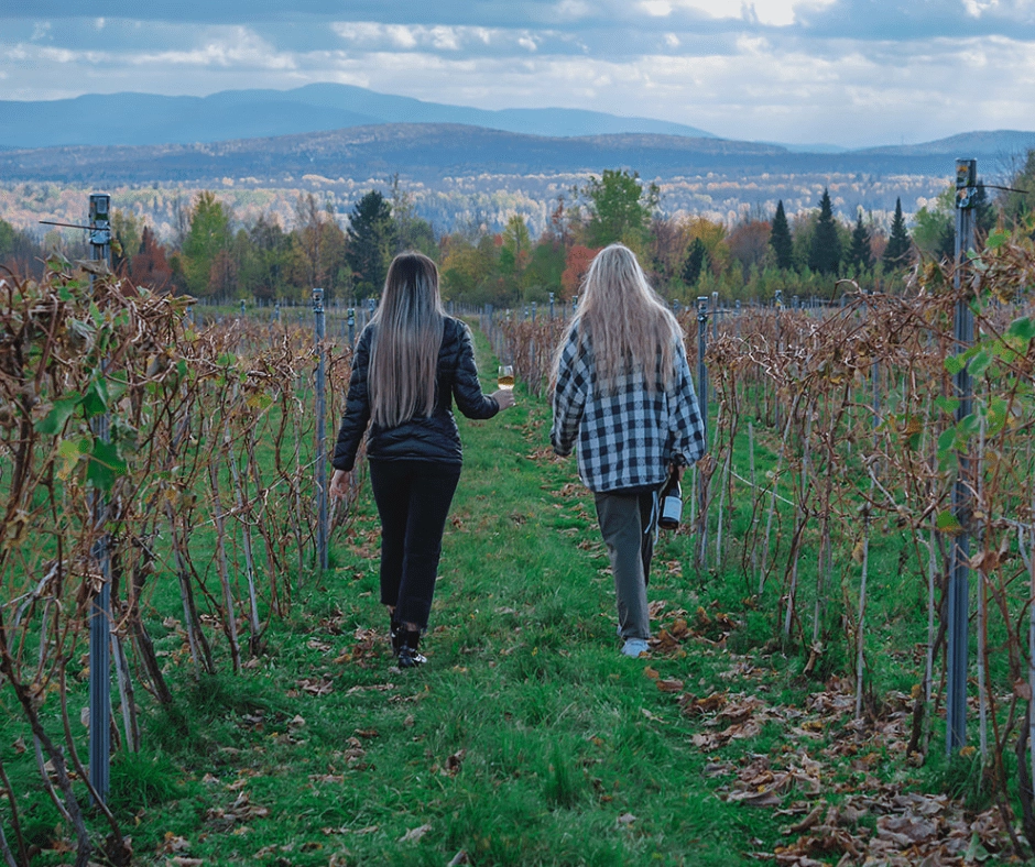 Deux femmes marchent dans un vignoble automnal, montagnes en arrière-plan.